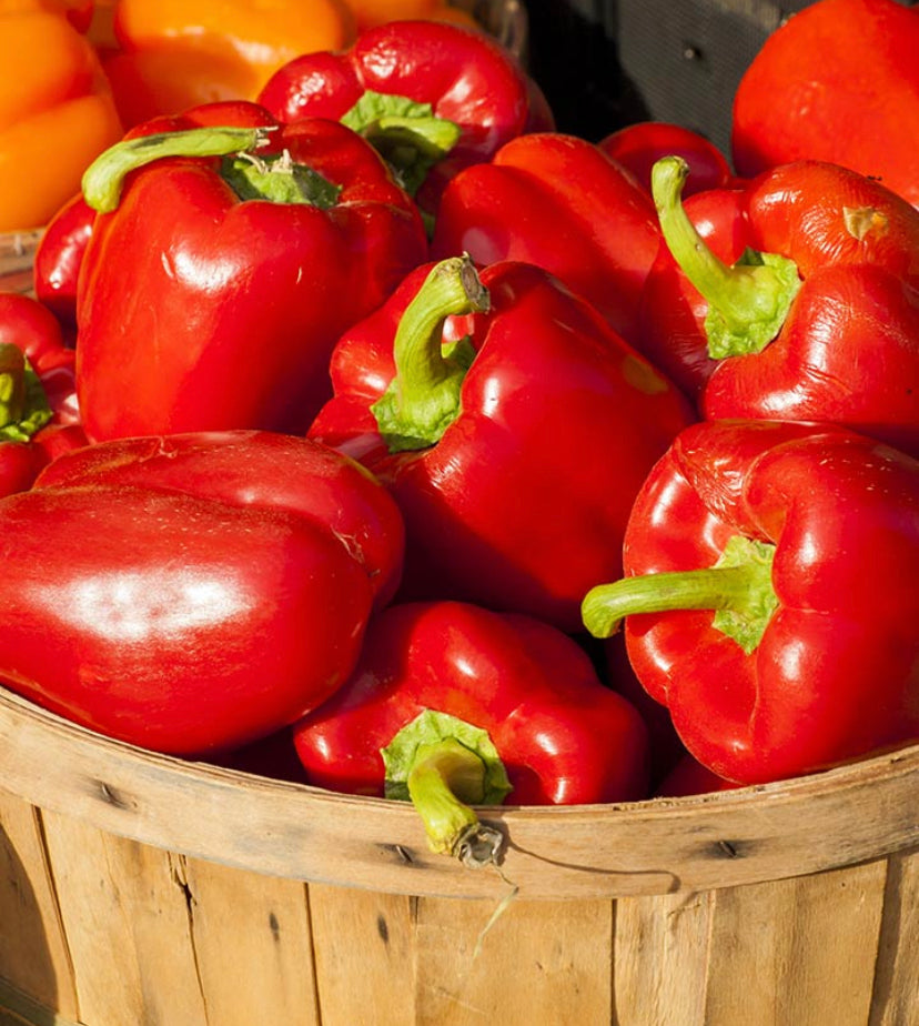 Red Bell Peppers